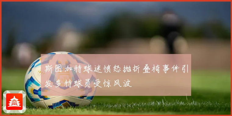 斯图加特球迷愤怒抛折叠椅事件引发多特球员受惊风波